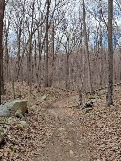 Berkshire Valley State Wildlife Management Area - Mt Arlington, NJ