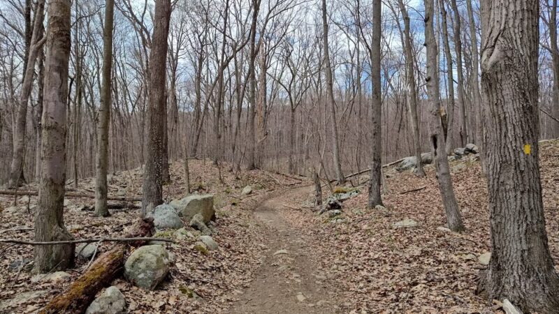 Berkshire Valley State Wildlife Management Area - Mt Arlington, NJ