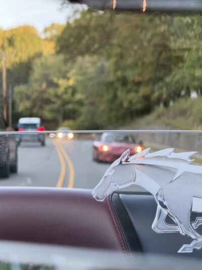 Berkshire Valley State Wildlife Management Area - Mt Arlington, NJ