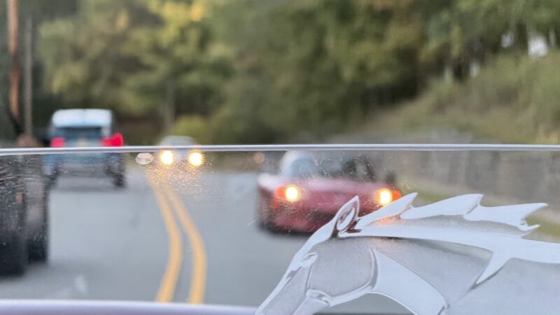 Berkshire Valley State Wildlife Management Area - Mt Arlington, NJ