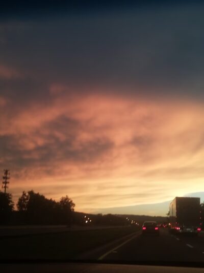 Berkshire Valley State Wildlife Management Area - Mt Arlington, NJ