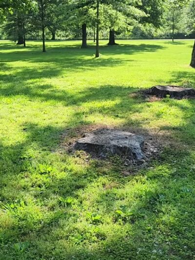 Beall Woods State Park - Mt Carmel, IL