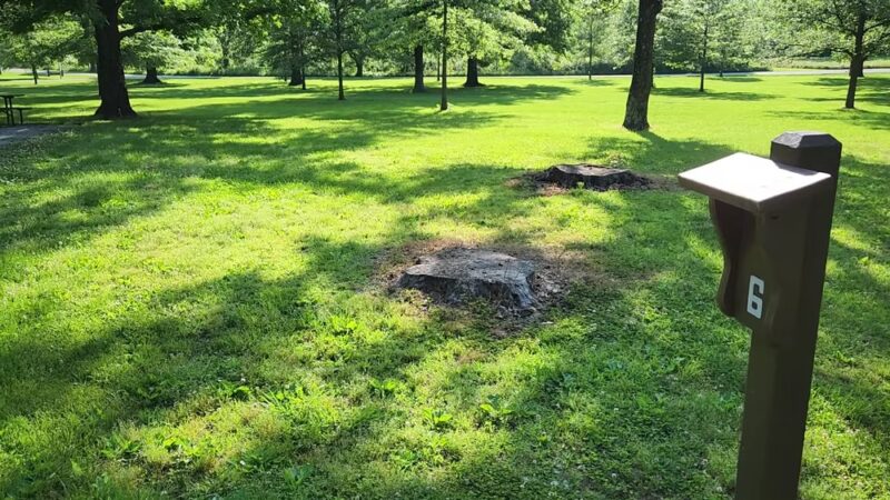 Beall Woods State Park - Mt Carmel, IL