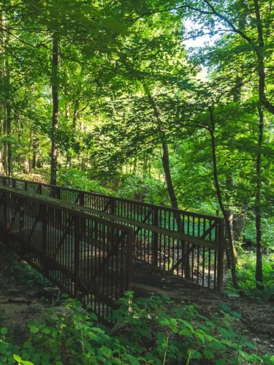 Beall Woods State Park - Mt Carmel, IL