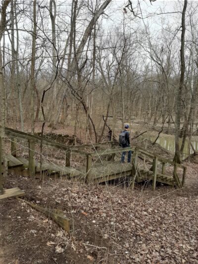 Beall Woods State Park - Mt Carmel, IL