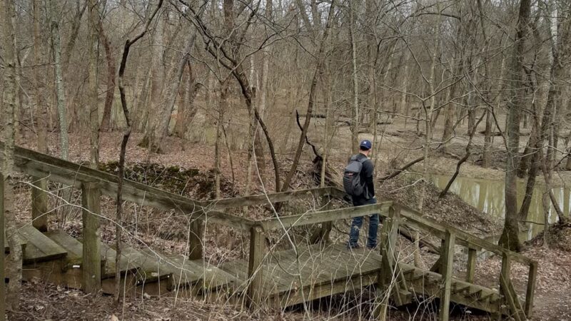 Beall Woods State Park - Mt Carmel, IL