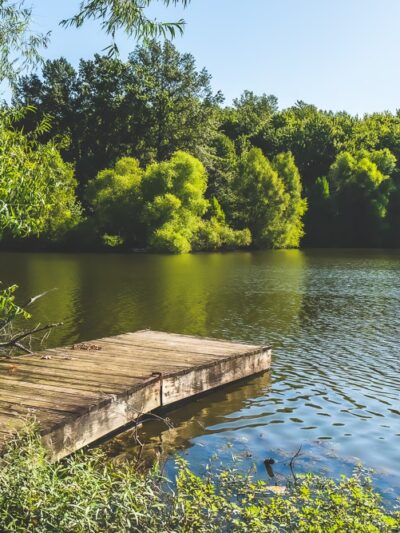 Beall Woods State Park - Mt Carmel, IL