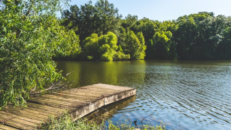 Beall Woods State Park - Mt Carmel, IL