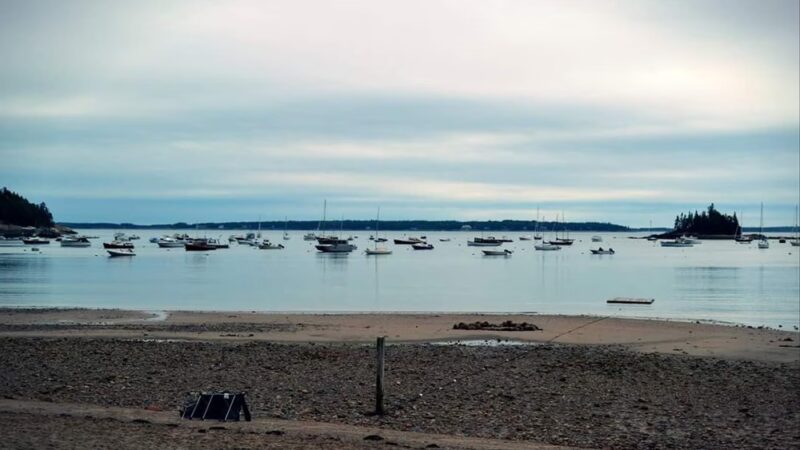 Seal Harbor - Mt Desert, ME