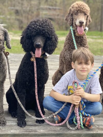 Country Haven Kennels & Dog Park - Mt Holly, NJ