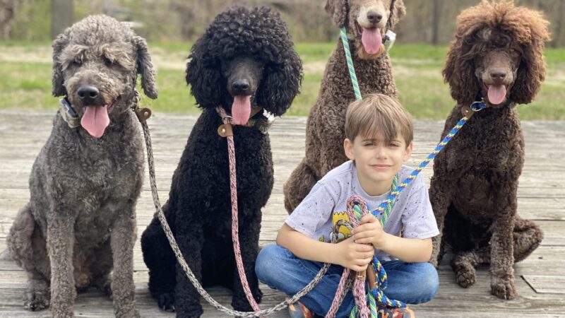 Country Haven Kennels & Dog Park - Mt Holly, NJ