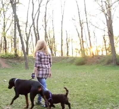 Leia's Loving Dog Care - Mt Holly, NJ