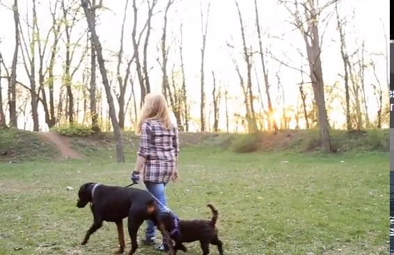 Leia's Loving Dog Care - Mt Holly, NJ