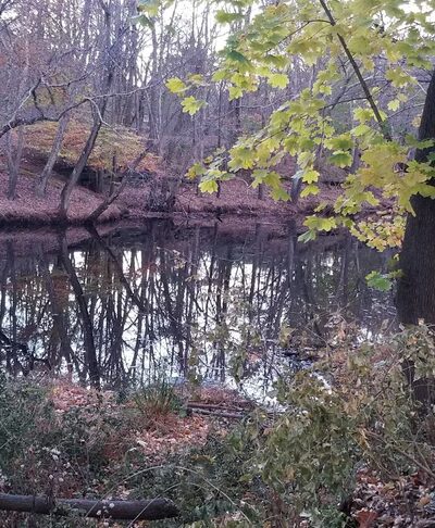 Monroe Park - Mt Holly, NJ