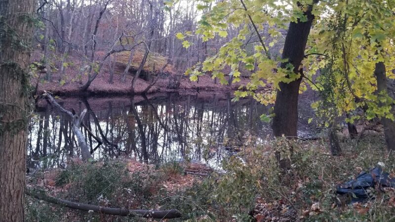 Monroe Park - Mt Holly, NJ