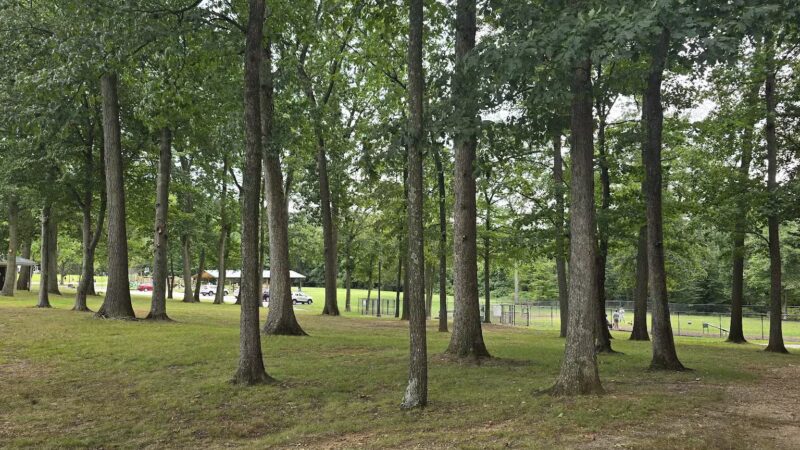 Trine Park - Mt Holly Springs, PA