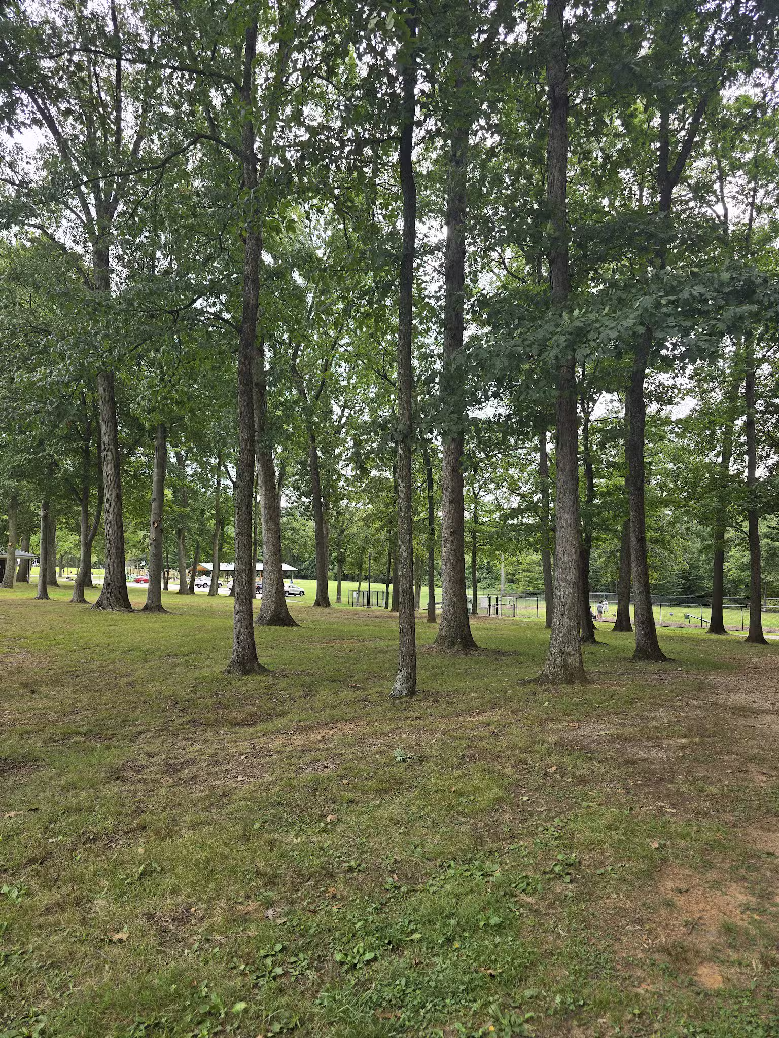 Trine Park - Mt Holly Springs, PA