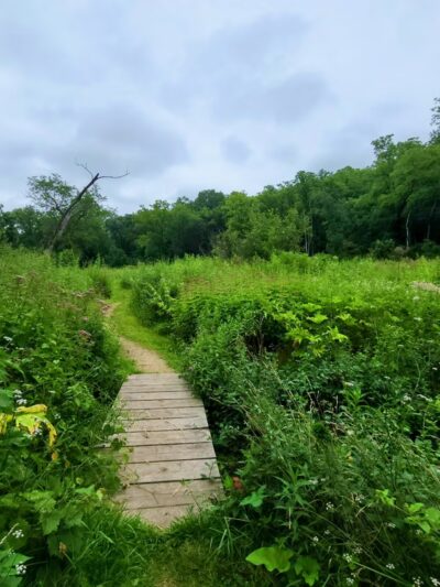 Stewart Lake County Park - Mt Horeb, WI