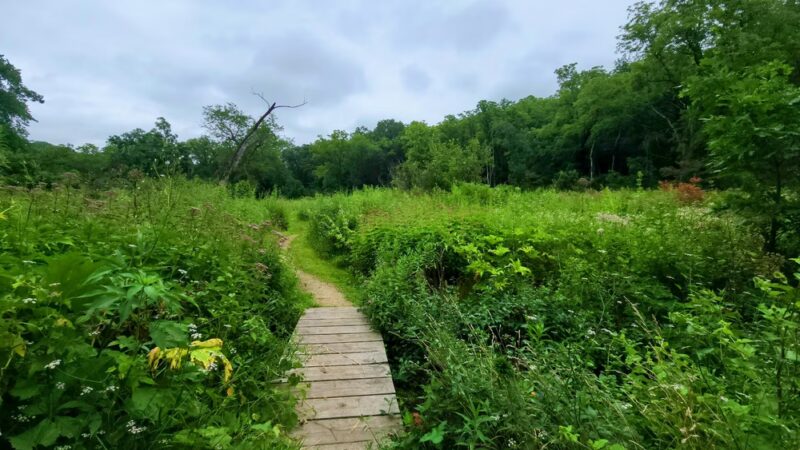 Stewart Lake County Park - Mt Horeb, WI