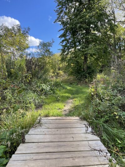 Stewart Lake County Park - Mt Horeb, WI