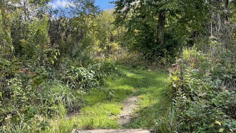 Stewart Lake County Park - Mt Horeb, WI
