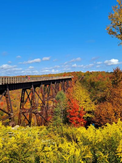 Kinzua Bridge State Park - Mt Jewett, PA