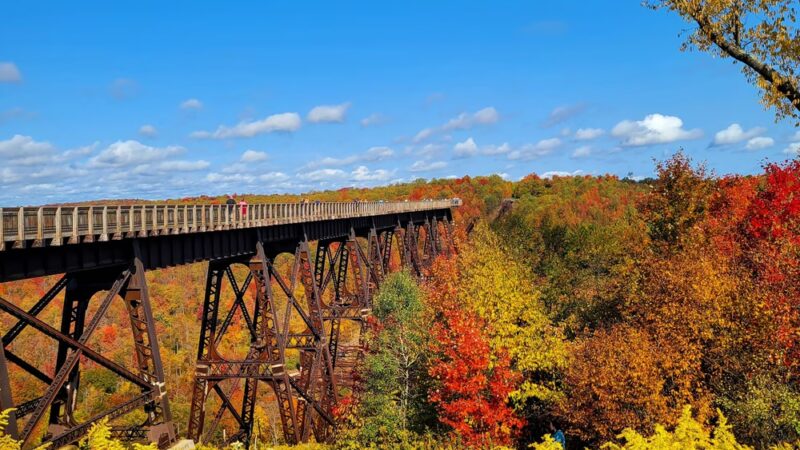 Kinzua Bridge State Park - Mt Jewett, PA