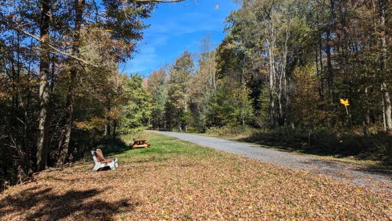 Knox & Kane Rail Trail Mt. Jewett Trailhead - Mt Jewett, PA