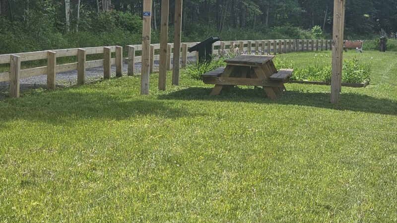 Knox & Kane Rail Trail Pavilion/Parking - Mt Jewett, PA