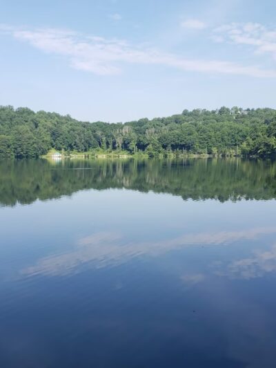 Arthur W. Butler Memorial Sanctuary - Mt Kisco, NY