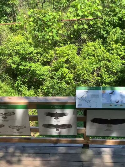 Arthur W. Butler Memorial Sanctuary - Mt Kisco, NY