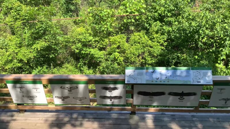 Arthur W. Butler Memorial Sanctuary - Mt Kisco, NY