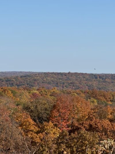 Arthur W. Butler Memorial Sanctuary - Mt Kisco, NY