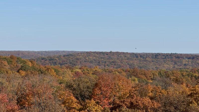 Arthur W. Butler Memorial Sanctuary - Mt Kisco, NY