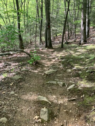 Arthur W. Butler Memorial Sanctuary - Mt Kisco, NY