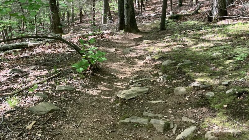 Arthur W. Butler Memorial Sanctuary - Mt Kisco, NY