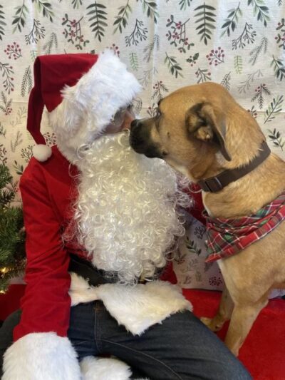 Dogtopia of Mount Kisco - Mt Kisco, NY