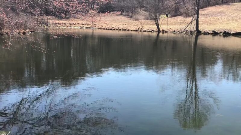 Marsh Sanctuary - Mt Kisco, NY
