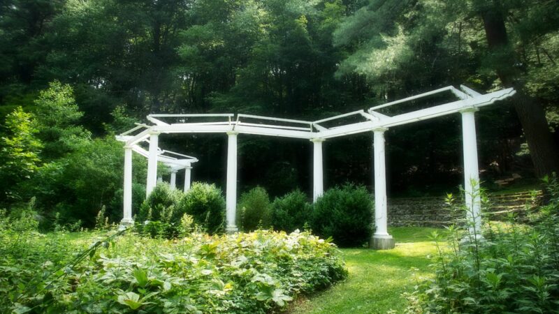 Marsh Sanctuary - Mt Kisco, NY