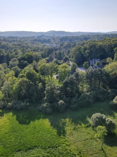 Marsh Sanctuary - Mt Kisco, NY
