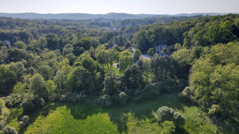Marsh Sanctuary - Mt Kisco, NY
