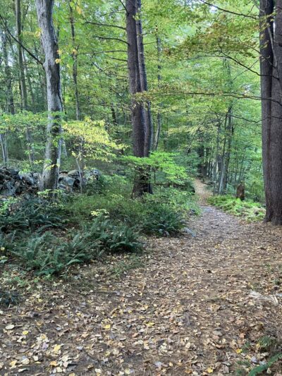 Westmoreland Sanctuary - Mt Kisco, NY