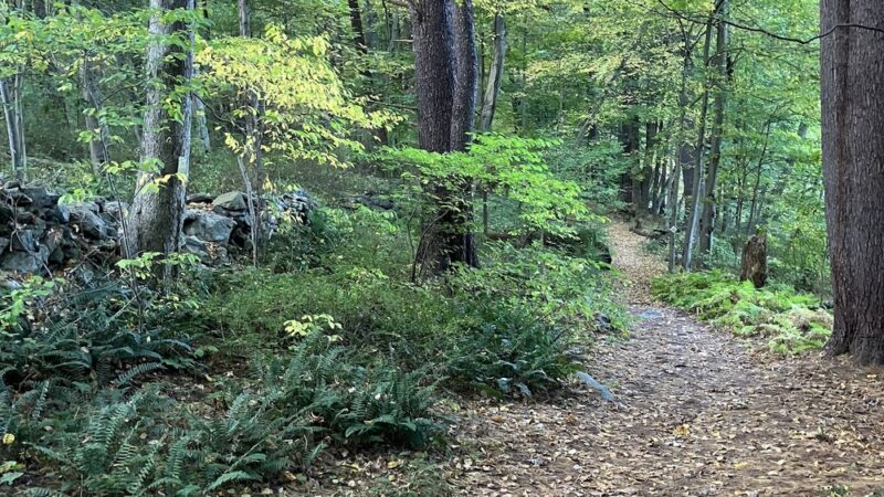 Westmoreland Sanctuary - Mt Kisco, NY