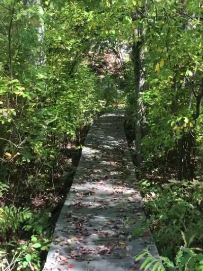 Westmoreland Sanctuary - Mt Kisco, NY