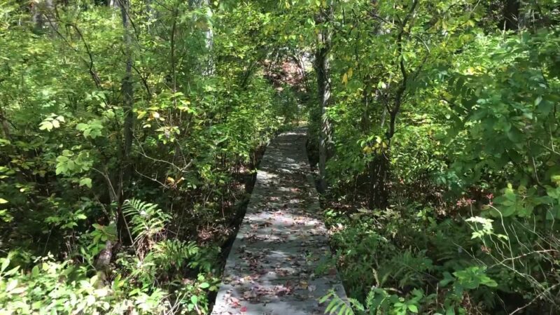 Westmoreland Sanctuary - Mt Kisco, NY