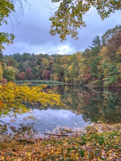 Westmoreland Sanctuary - Mt Kisco, NY