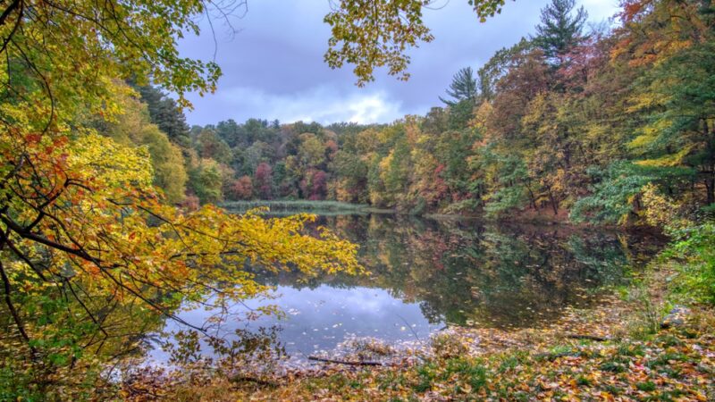 Westmoreland Sanctuary - Mt Kisco, NY