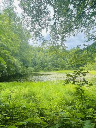 Westmoreland Sanctuary - Mt Kisco, NY