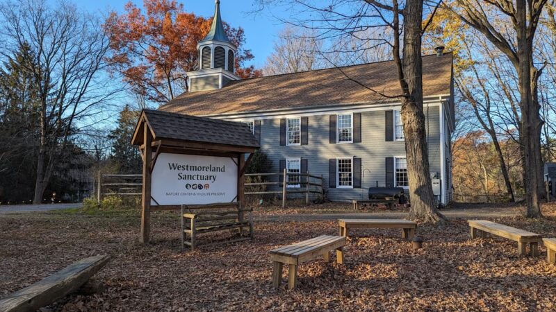 Westmoreland Sanctuary - Mt Kisco, NY