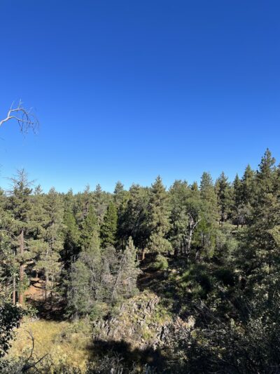 Red Tail Roost Trailhead - Mt Laguna, CA